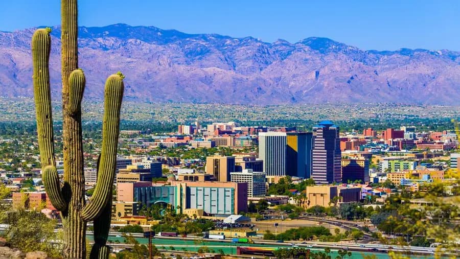 Large saguaro cactus overlooking a desert city skyline with rugged mountains in the background.